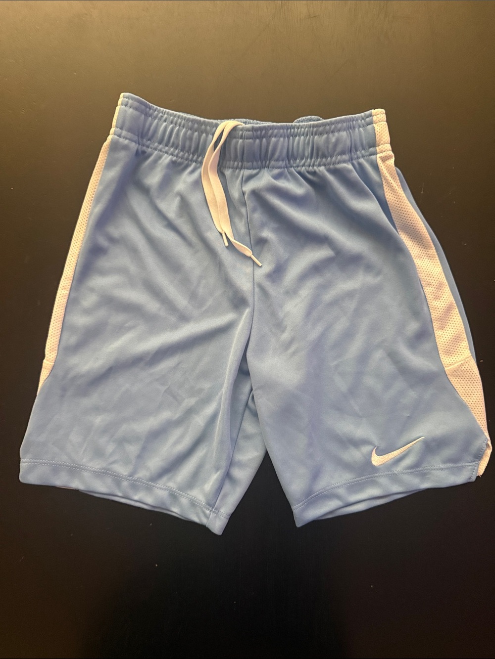 Nike Men's Sky Blue Athletic Shorts with White Accents